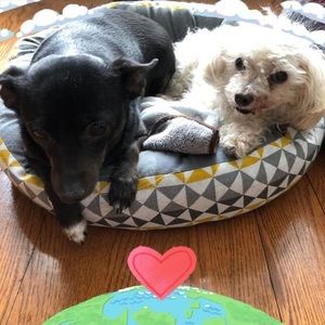 Meet your Posher, Arleen